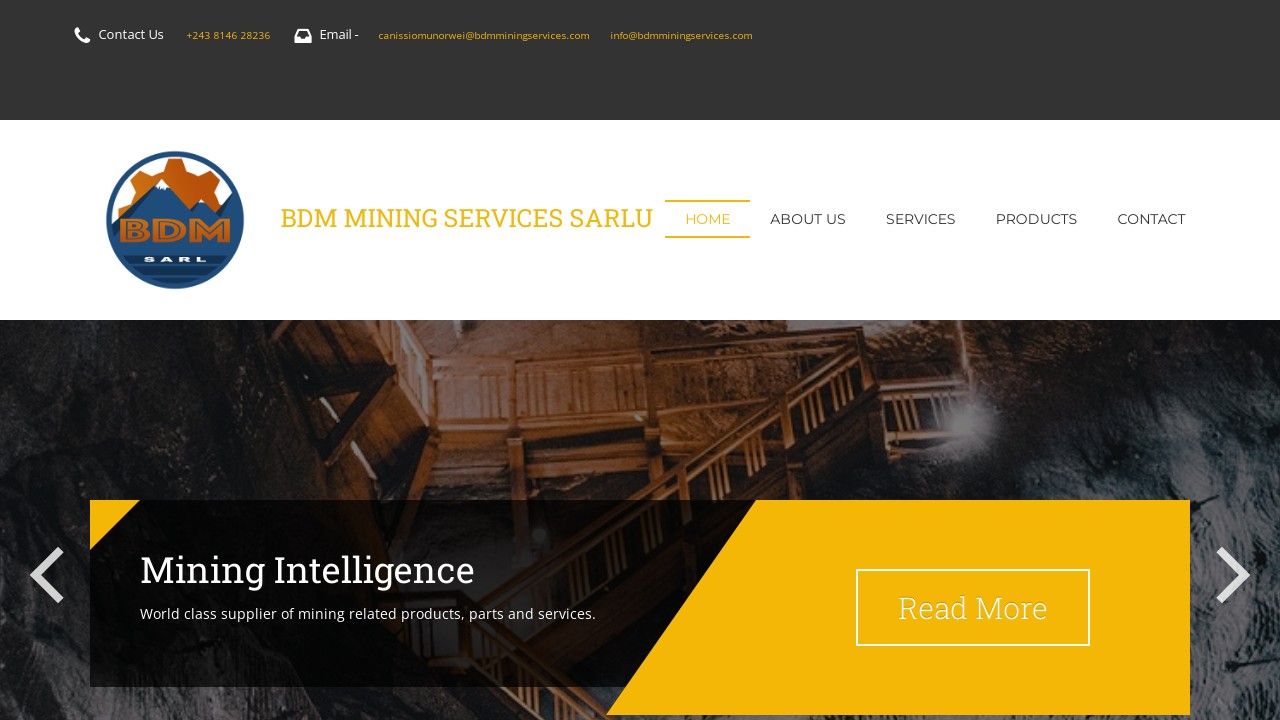 BDM Mining Services SARLU